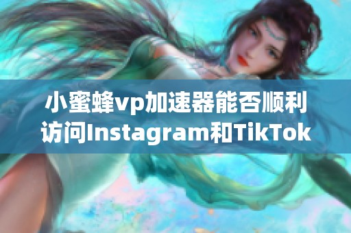 小蜜蜂vp加速器能否顺利访问Instagram和TikTok的详细分析