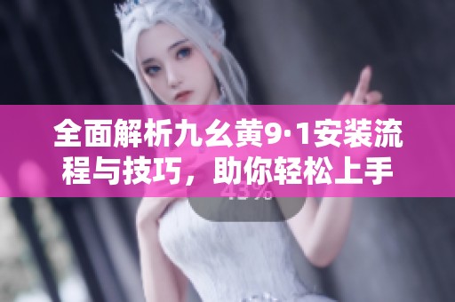 全面解析九幺黄9·1安装流程与技巧，助你轻松上手