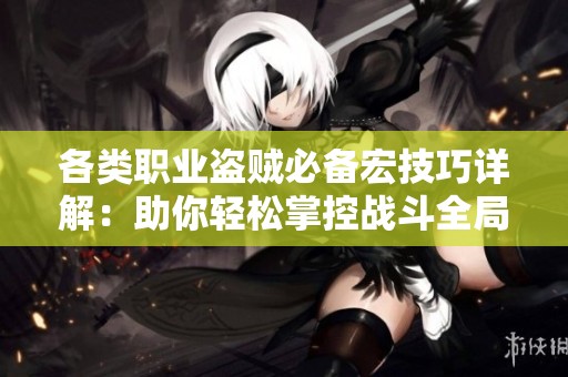各类职业盗贼必备宏技巧详解：助你轻松掌控战斗全局