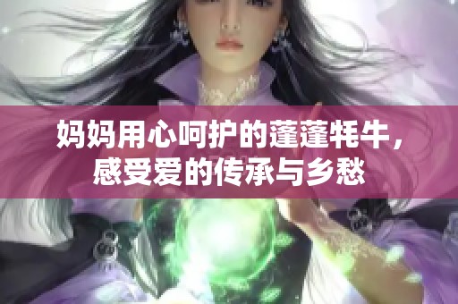 妈妈用心呵护的蓬蓬牦牛，感受爱的传承与乡愁