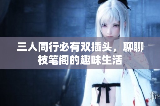三人同行必有双插头，聊聊枝笔阁的趣味生活