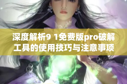 深度解析9 1免费版pro破解工具的使用技巧与注意事项