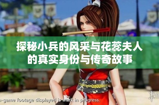 探秘小兵的风采与花蕊夫人的真实身份与传奇故事
