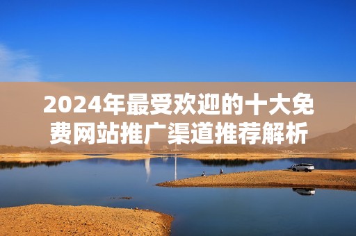 2024年最受欢迎的十大免费网站推广渠道推荐解析
