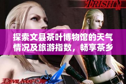 探索文县茶叶博物馆的天气情况及旅游指数，畅享茶乡之旅