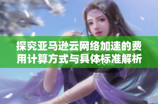 探究亚马逊云网络加速的费用计算方式与具体标准解析