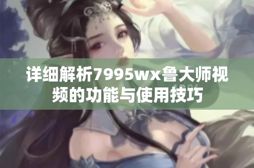 详细解析7995wx鲁大师视频的功能与使用技巧