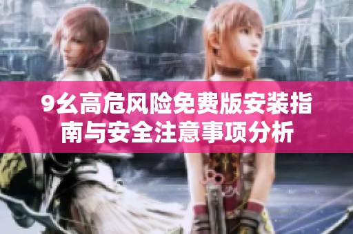9幺高危风险免费版安装指南与安全注意事项分析