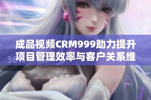 成品视频CRM999助力提升项目管理效率与客户关系维护