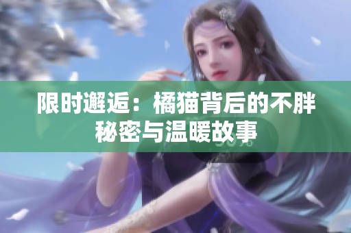 限时邂逅：橘猫背后的不胖秘密与温暖故事