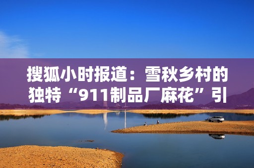 搜狐小时报道：雪秋乡村的独特“911制品厂麻花”引发社会关注