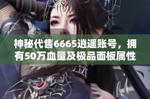 神秘代售6665逍遥账号，拥有50万血量及极品面板属性