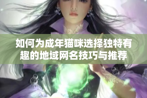 如何为成年猫咪选择独特有趣的地域网名技巧与推荐
