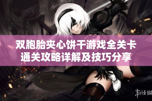 双胞胎夹心饼干游戏全关卡通关攻略详解及技巧分享