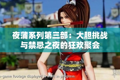 夜蒲系列第三部：大胆挑战与禁忌之夜的狂欢聚会