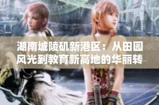 湖南城陵矶新港区：从田园风光到教育新高地的华丽转变