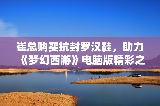 崔总购买抗封罗汉鞋，助力《梦幻西游》电脑版精彩之旅