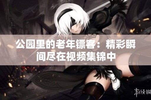 公园里的老年镖客：精彩瞬间尽在视频集锦中