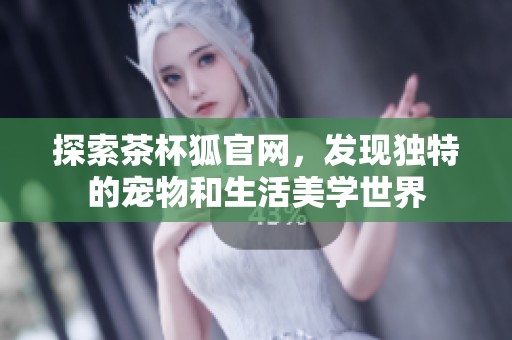 探索茶杯狐官网，发现独特的宠物和生活美学世界