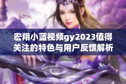 宏翔小蓝视频gy2023值得关注的特色与用户反馈解析