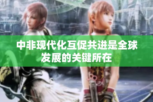 中非现代化互促共进是全球发展的关键所在