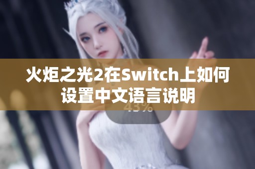 火炬之光2在Switch上如何设置中文语言说明