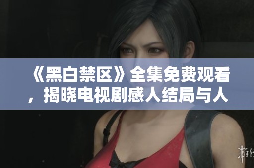 《黑白禁区》全集免费观看，揭晓电视剧感人结局与人物命运交织