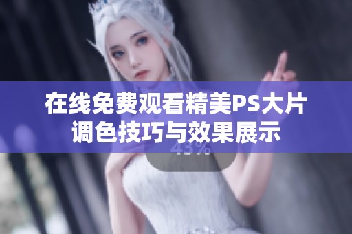 在线免费观看精美PS大片调色技巧与效果展示