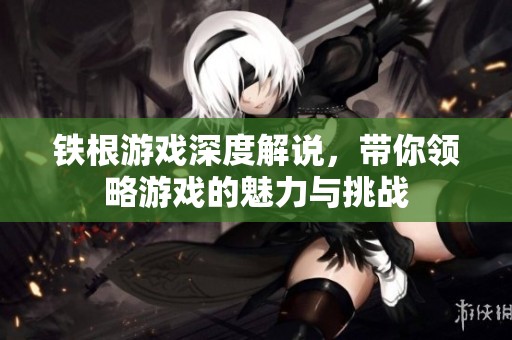 铁根游戏深度解说，带你领略游戏的魅力与挑战