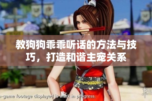 教狗狗乖乖听话的方法与技巧，打造和谐主宠关系