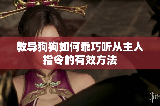 教导狗狗如何乖巧听从主人指令的有效方法