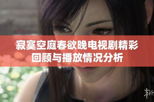 寂寞空庭春欲晚电视剧精彩回顾与播放情况分析