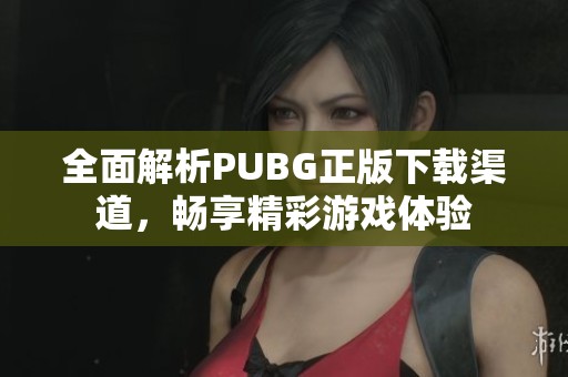 全面解析PUBG正版下载渠道，畅享精彩游戏体验