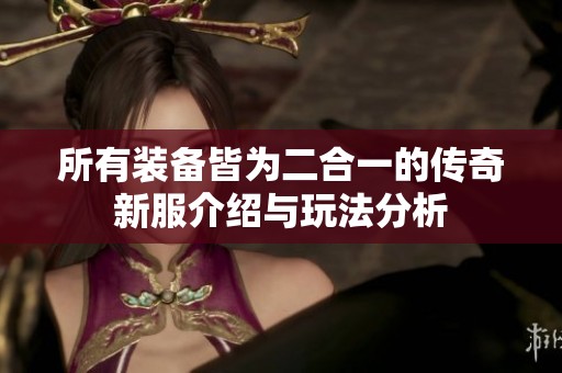 所有装备皆为二合一的传奇新服介绍与玩法分析
