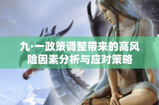 九·一政策调整带来的高风险因素分析与应对策略