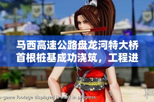 马西高速公路盘龙河特大桥首根桩基成功浇筑，工程进展顺利