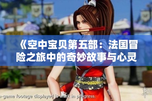 《空中宝贝第五部：法国冒险之旅中的奇妙故事与心灵成长》