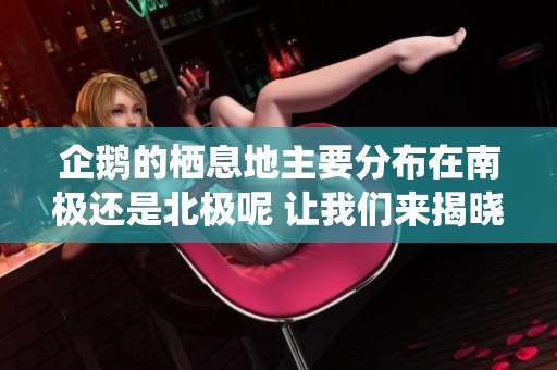企鹅的栖息地主要分布在南极还是北极呢 让我们来揭晓真相