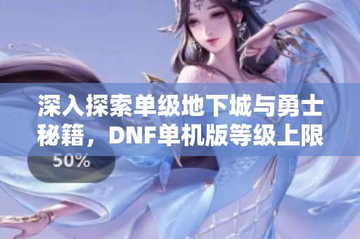 深入探索单级地下城与勇士秘籍，DNF单机版等级上限全面解析