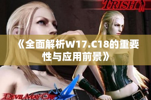 《全面解析W17.C18的重要性与应用前景》