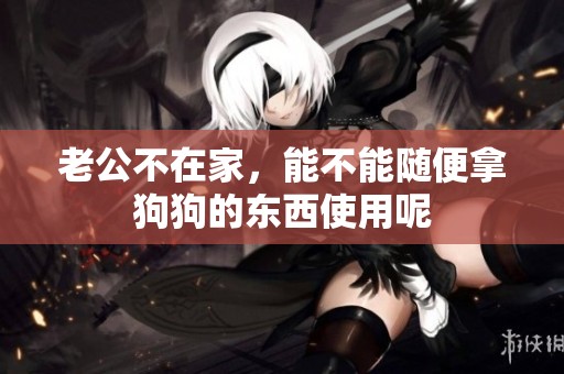 老公不在家，能不能随便拿狗狗的东西使用呢