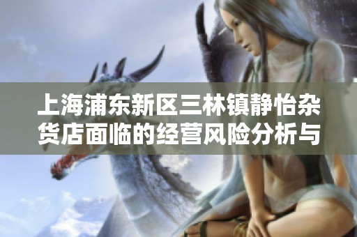 上海浦东新区三林镇静怡杂货店面临的经营风险分析与探讨