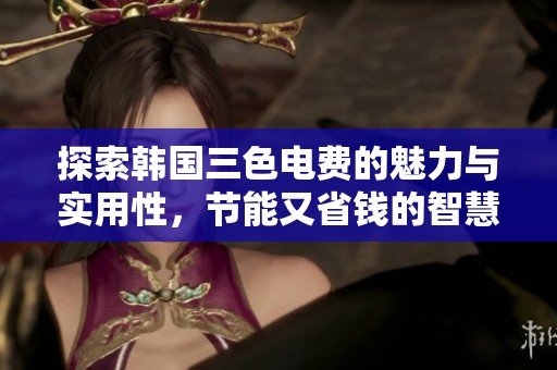 探索韩国三色电费的魅力与实用性，节能又省钱的智慧选择