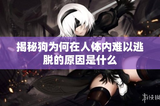 揭秘狗为何在人体内难以逃脱的原因是什么