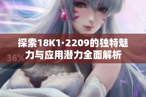 探索18K1·2209的独特魅力与应用潜力全面解析