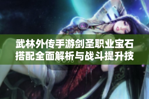 武林外传手游剑圣职业宝石搭配全面解析与战斗提升技巧