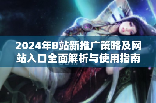 2024年B站新推广策略及网站入口全面解析与使用指南