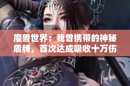 魔兽世界：我曾携带的神秘盾牌，首次达成吸收十万伤害的壮举