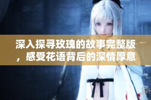 深入探寻玫瑰的故事完整版，感受花语背后的深情厚意