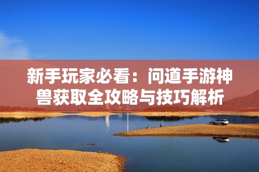 新手玩家必看：问道手游神兽获取全攻略与技巧解析